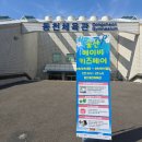 튼튼체육관 | 울산 동천체육관 베이비&amp;키즈페어 다녀온 후기(프뢰벨, 튼튼영어 등 교육관련 상담만 3시간...)