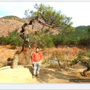 두리조경 이미지