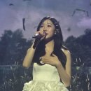 오늘 비바브라보 공연 잘 봤어요 이미지