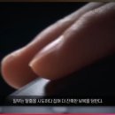 귀족세탁 이미지