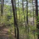 서동리 마을회관 이미지