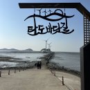 탁이네전집 네이버블로그