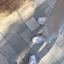 배드민턴(야간) | 어센딩 입문용 배드민턴 라켓 셔틀콕 세트 가성비 추천~