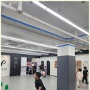 미르태권도장 이미지