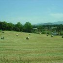 훈이네목장 이미지