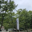 팔현리163 이미지