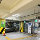 NR-48[개화동로]-상-17 | 결혼 1주년 기념 제주도 서쪽 여행 3박 4일 여행기록 (1일차) + 여행경비 정리