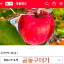 애플띵크