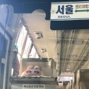 청포막썰이횟집 | 나영밀작업실/올거제호텔/바람의언덕/제트보트/외도보타니아/120메리스트릿/익힘책방/만호횟집/지평집