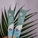 쑥부쟁이 | 비염에 좋은 더나을 푸로 쑥부쟁이차