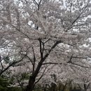 당현천근린공원 이미지