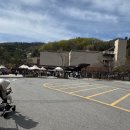 가을 숲으로 가자 | 17개월 아기랑 모노레일 없이 '화담숲' 꽃구경(4월 12일 기준)개화상황,솔직후기