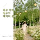 무드블리 이미지