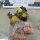 [25년 3분기] 모던민화 | 2026 새해