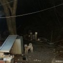 경남 양산 배내골 계곡 옆 물소리 펜션 숙소 후기 개별 바베큐가능
