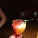바제라늄(Bar Geranium)
