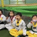 대호태권도체육관 이미지