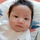 신세계백화점광주점 압소바 이미지