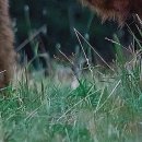 현동한의원 이미지