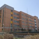 나비초병설유치원 이미지