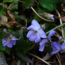 푸르메농장 이미지