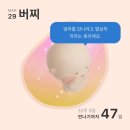 영흥고 뒤 목포교회 | [버찌 32주 기록] 임신후기 배크기 | 말랑하니 수유...데일리룩 | 목포 벚꽃 구경 | 시가 모임-식구가...