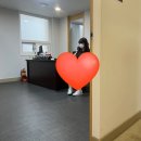 삼일이비인후과의원 이미지