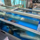 참좋은신안횟집 이미지