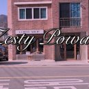 제스티파우더(Zesty powder) 네이버블로그