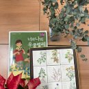 나의 사랑~우쿨렐레 이미지