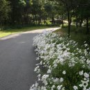 태학산자연휴양림 이미지