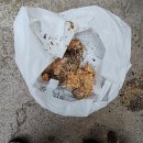 보금자리 | 집 싱크대 역류, 갑자기 물이 넘쳐서 깜짝 놀랐어요! 중랑구 신내동 싱크대역류 보금자리케어 해결 후기
