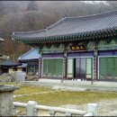 상원사샘터 이미지