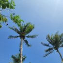 강수목장 이미지