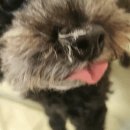 숙이네손칼국수