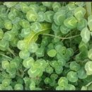 지양산 생태순환길 이미지