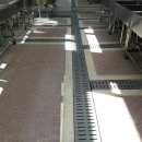 시흥은행초등학교 이미지