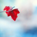 생활일본어 초급반 이미지