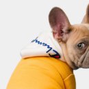 (주)에이아이포펫 이미지