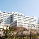 성가롤로병원 이미지