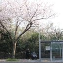 대륜세탁소 이미지