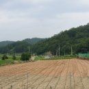 푸르뫼농장 이미지