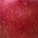 일심1로R 이미지