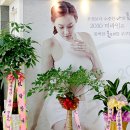 2030미라인외과의원 이미지