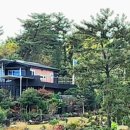 나무소리펜션 민박 이미지