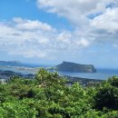 제주 올레길 2코스 이미지