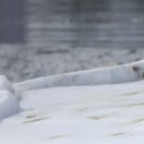 동부반점 이미지