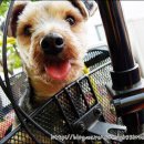 안녕하세요 이미지