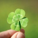 송백시장 이미지