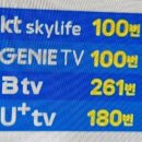 🔊🔊NBS 잠시후 한국농업방송 트립인코리아5 59회 재방송 합니다 함께 시청해요~ 이미지